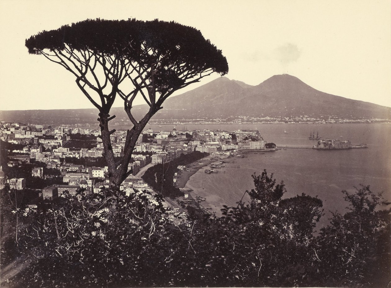 Panorama over Vomero med fyrretræ af Giorgio Sommer