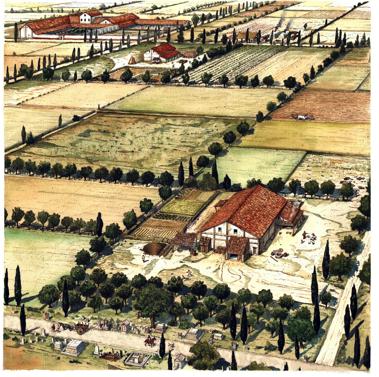 Det gamle Rom: rekonstruktion af en plan for indretning af territoriet kendt som "romersk centuriation" med det formål geometrisk at skære et landbrugsområde i kolonierne efter romerske enheder (eller århundreder), Italien af Giorgio Albertini