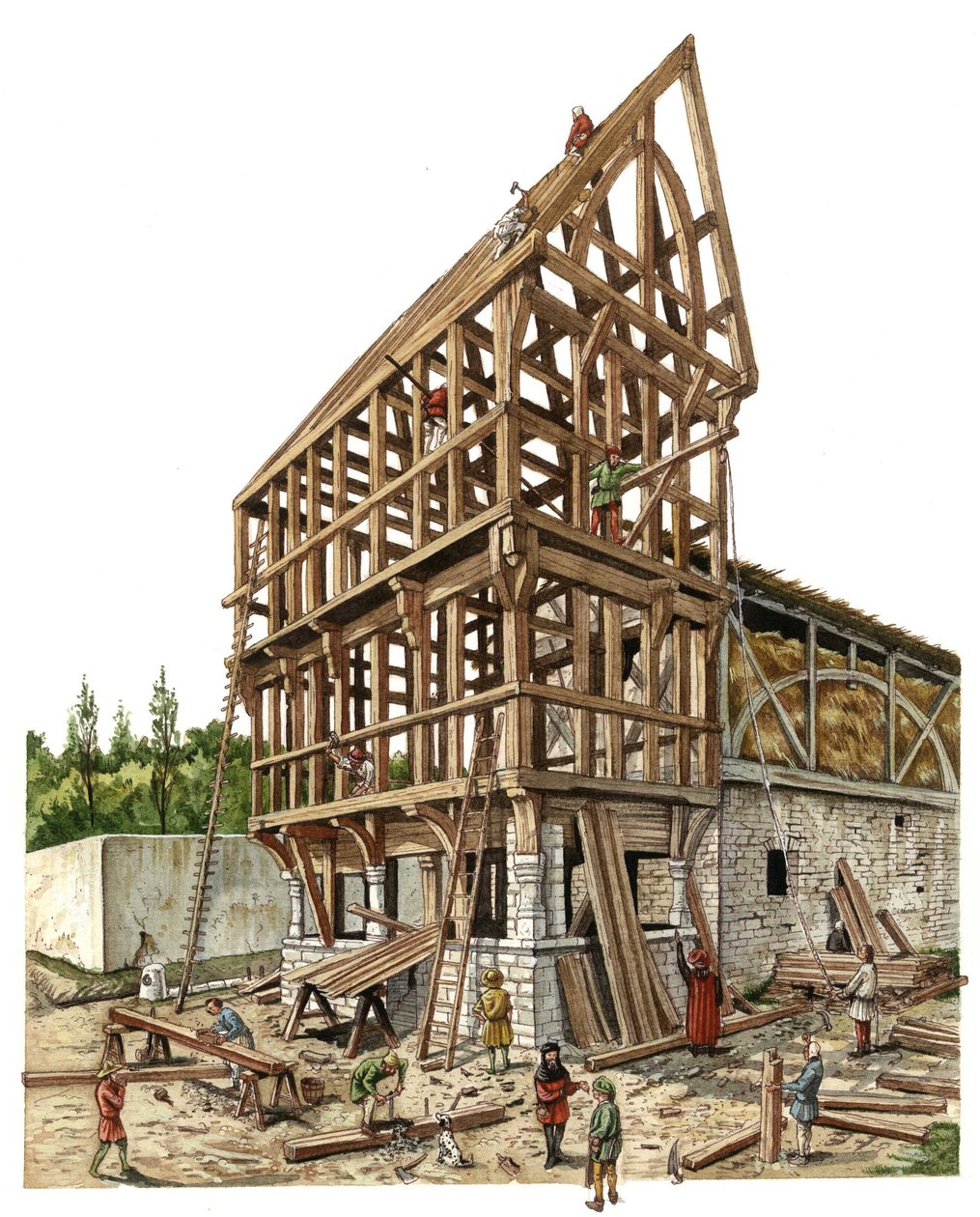 Middelalderen: En byggeplads i en region i Nordfrankrig i det 14. århundrede, tømrere og snedkere arbejder på træstrukturen til en lade. Illustration af Giorgio Albertini. (Brugen af denne forfatters værker er ikke underlagt en ansøgning om auth af Giorgio Albertini