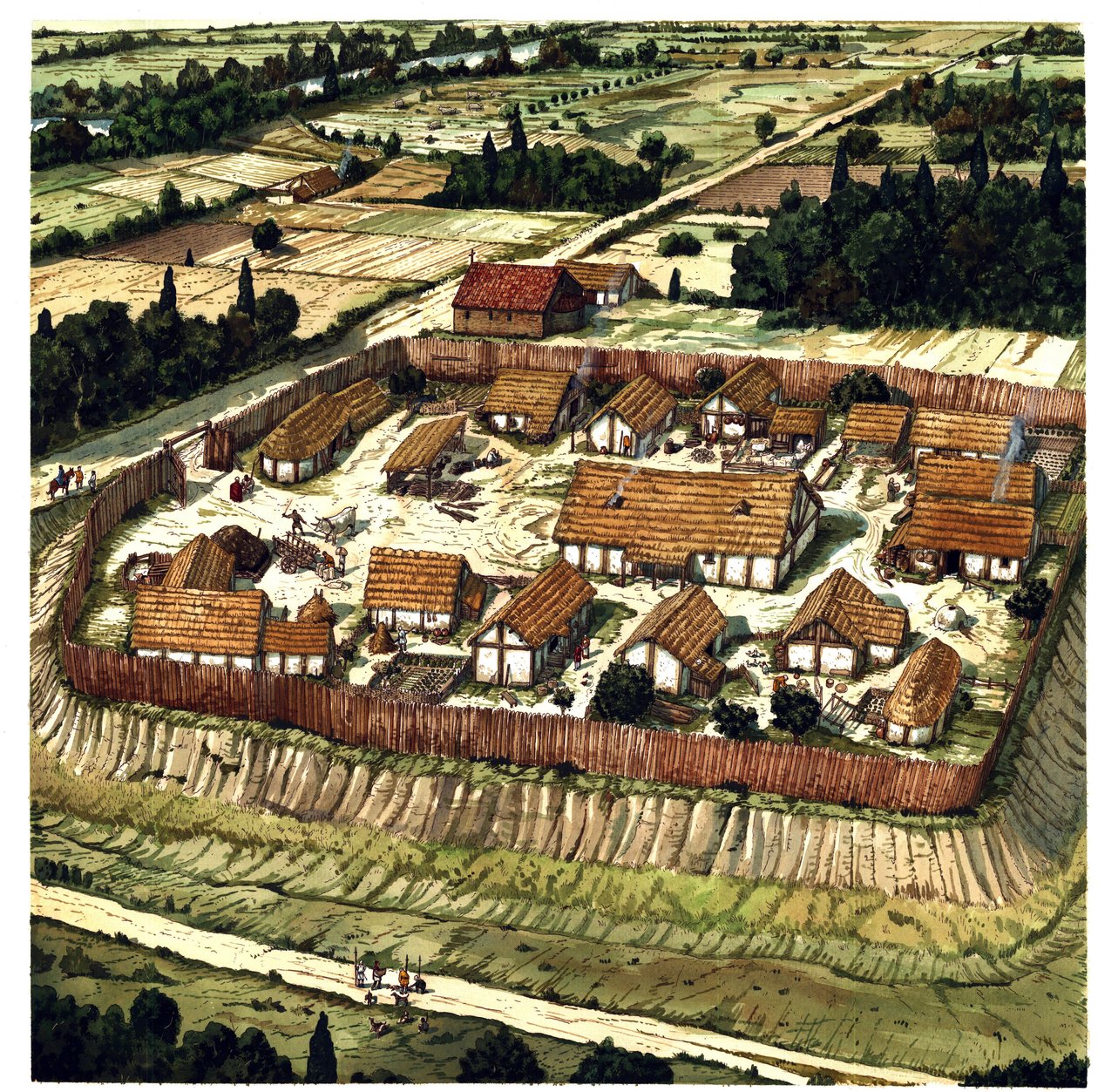 Middelalderen: rekonstruktion af en Motte (illustration) af Giorgio Albertini