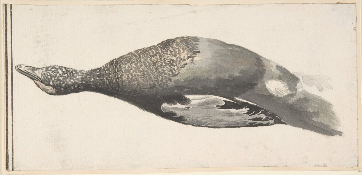 Død And, 1685-1755. af Giorgio Durante