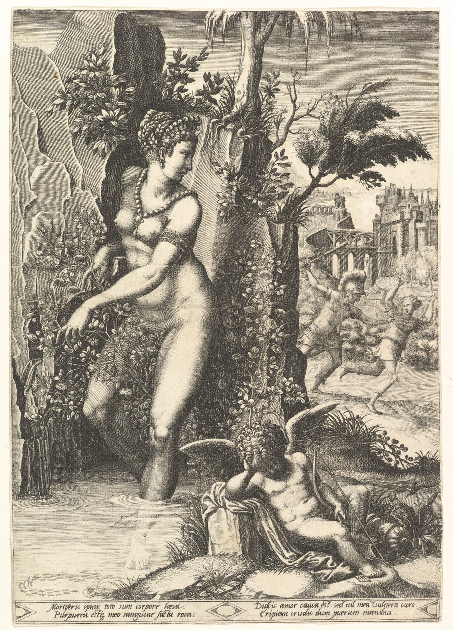 Venus prikket af tornene på en rosenbusk, i baggrunden Mars jagter Adonis, i ..., 1556. af Giorgio Ghisi