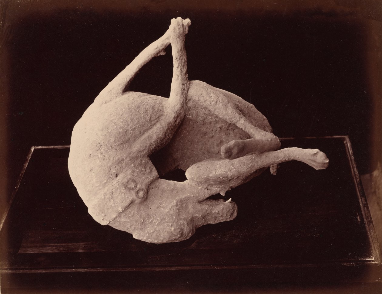 Afstøbning, Pompeji, ca. 1870 (foto) af Giorgio Sommer