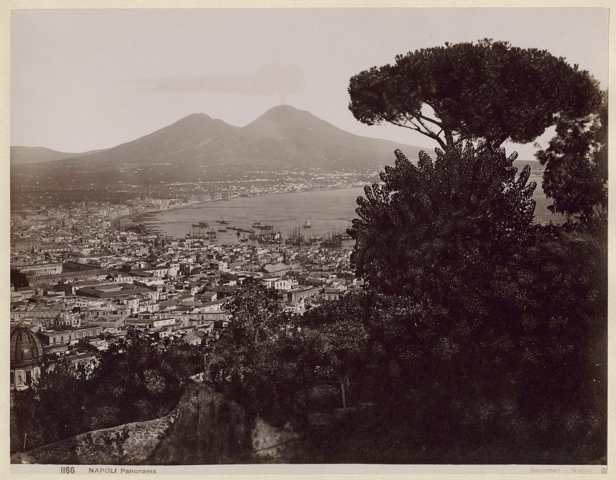 Panorama over Napoli af Giorgio Sommer