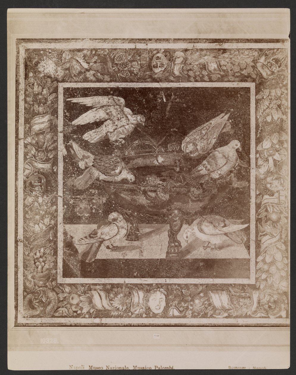 Palombi-mosaik, Napolis nationalmuseum af Giorgio Sommer