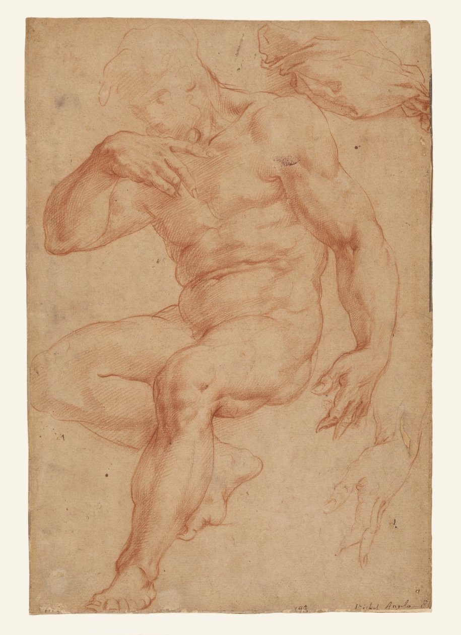 Studien eines männlichen Aktes, eines Gewandes und einer Hand af Giorgio Vasari