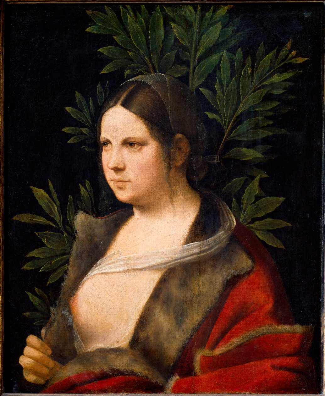 Portræt af Laure af Giorgione