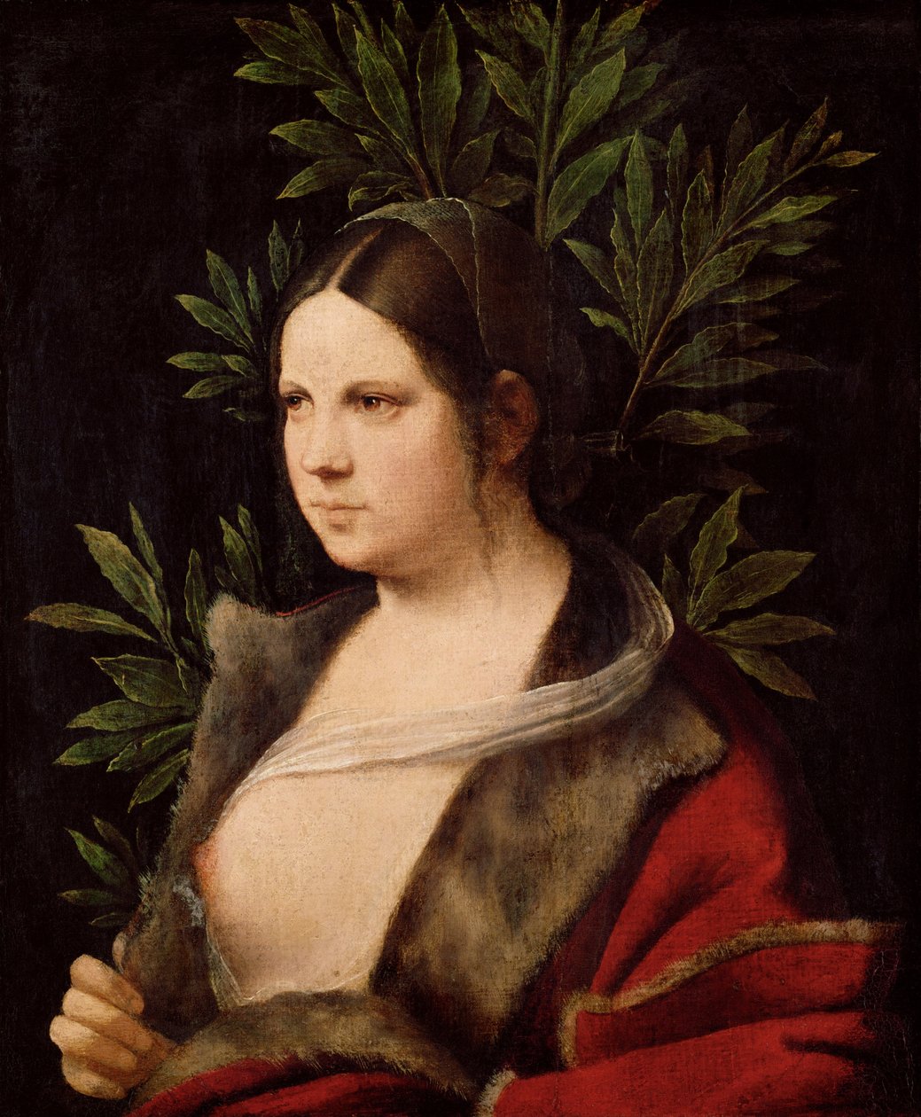 Ung kvinde Laura, 1506 af Giorgione da Castelfranco