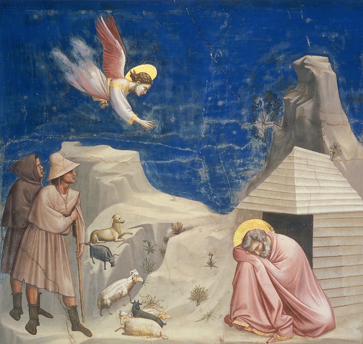 Drømmen om Joachim, ca. 1305 af Giotto di Bondone