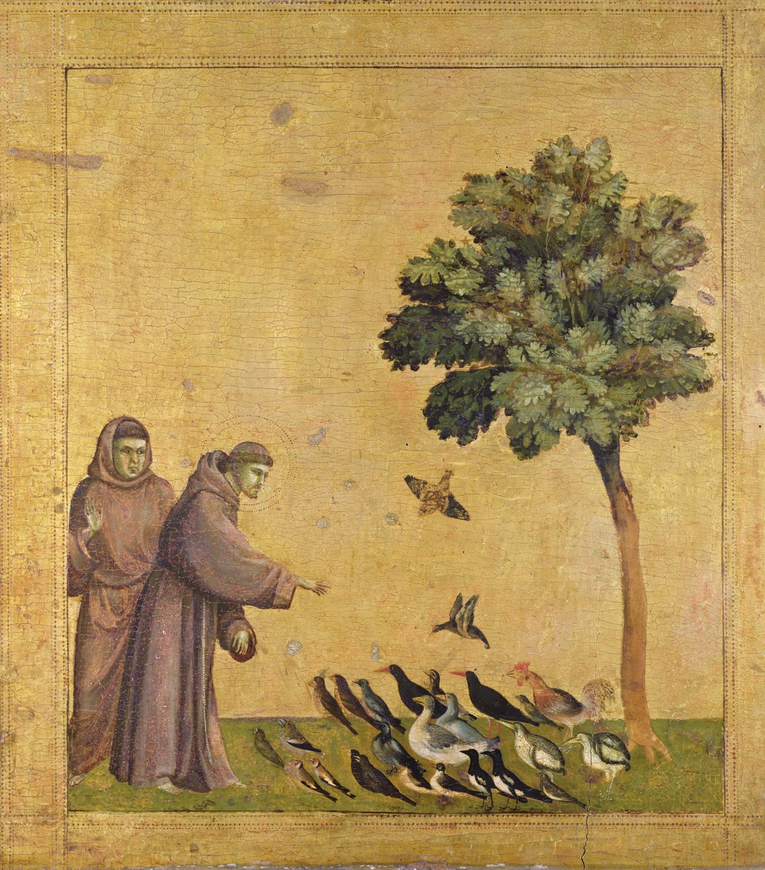 Den hellige Frans af Assisi prædiker for fuglene (olie på panel) af Giotto (c.1266 1337)