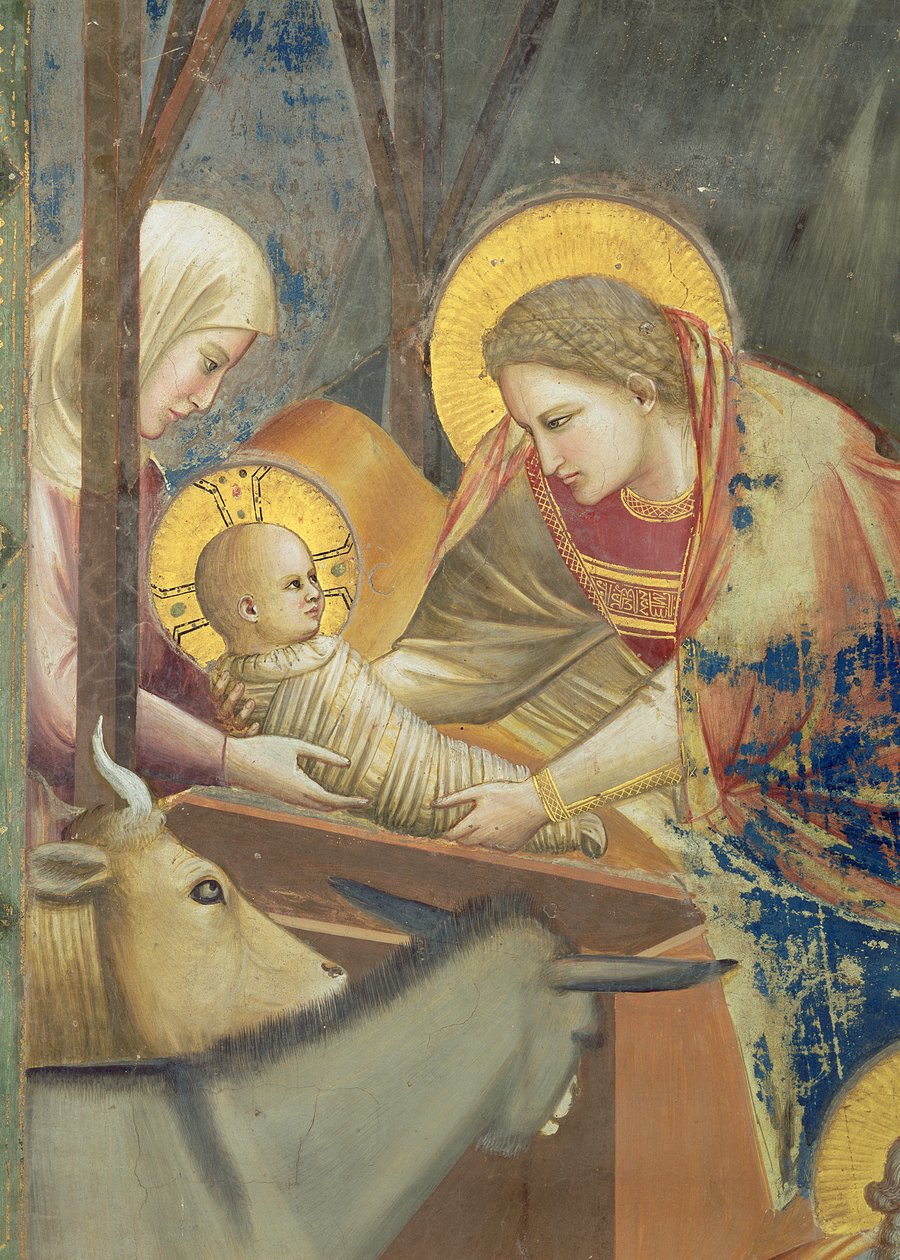 Fødselskirken, ca. 1305 (fresko) (detalje af 65197) af Giotto (c.1266 1337)