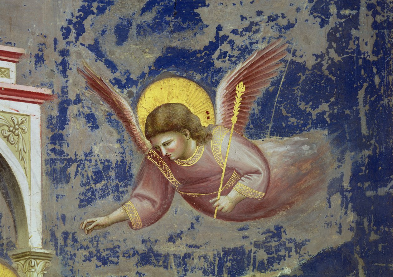 Engel, fra Kristi præsentation i templet, ca. 1305 (fresko) (detalje af 65195) af Giotto (c.1266 1337)