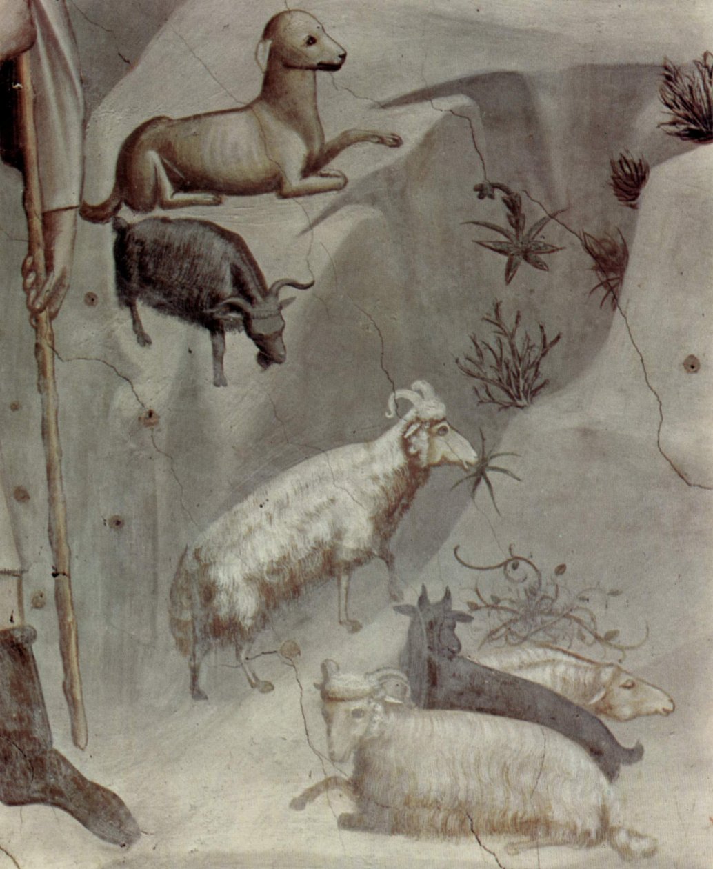 Scener fra Joachims liv: 5. Joachims drøm

 (detalje) af Giotto