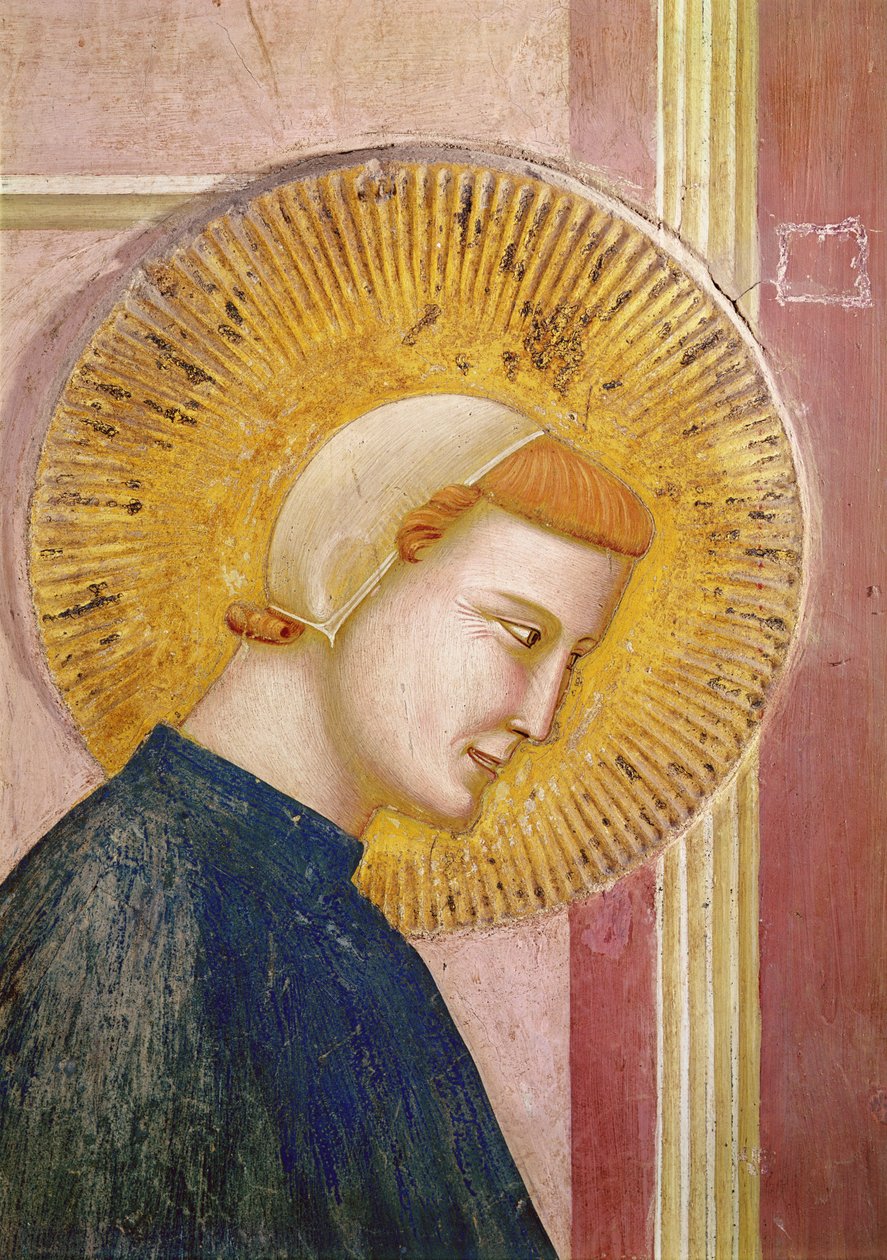 Saint Francis hædret af en simpel mand, detalje af hovedet af Saint Francis, ca. 1297-99 af Giotto di Bondone