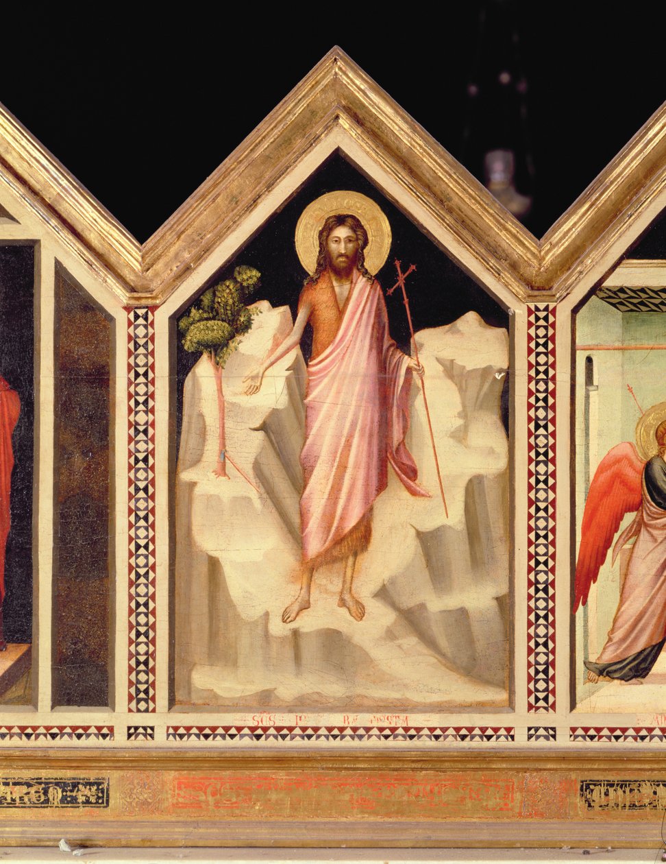 St. Johannes Døberen, fra St. Reparata Polyptykon midterste venstre panel, bagside detalje af 66558, se også 66564-66568 af Giotto di Bondone