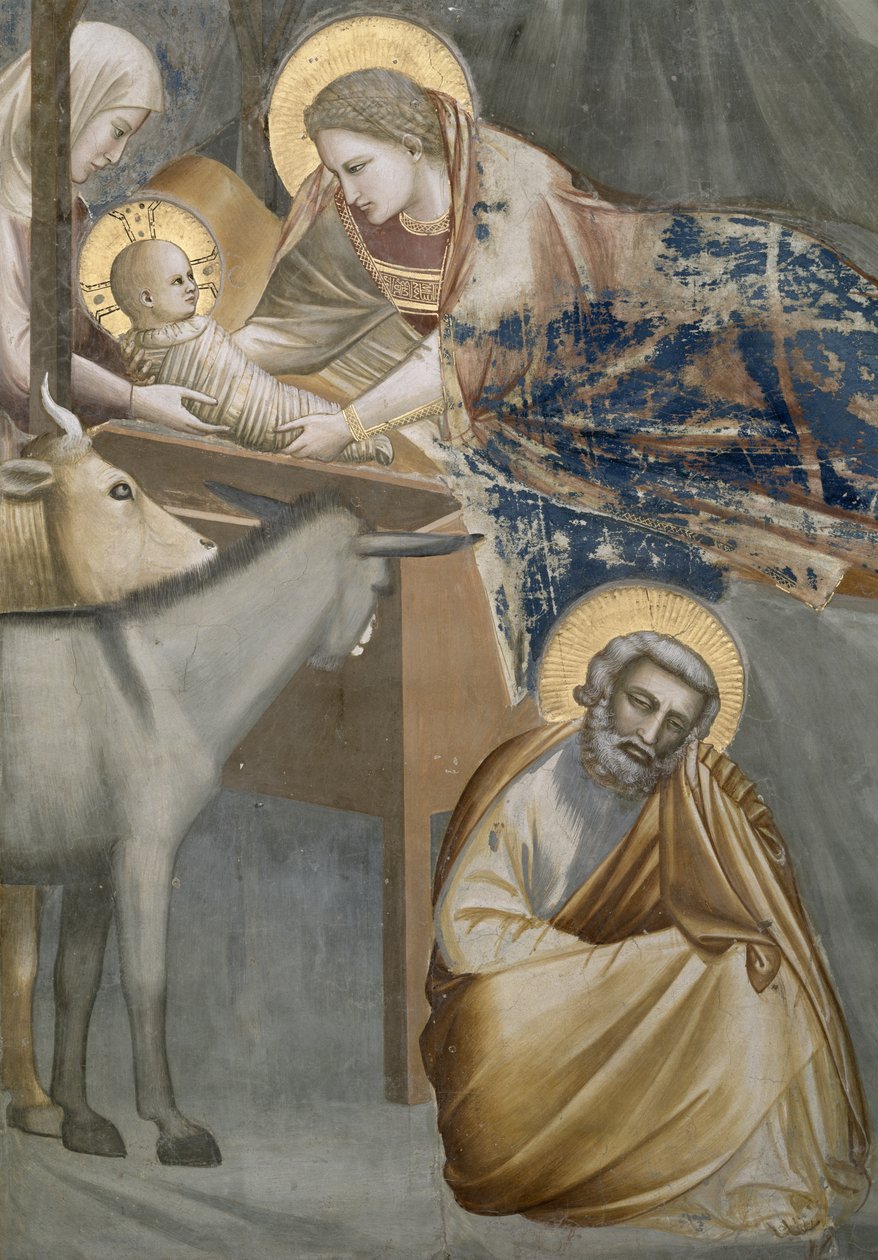 Fødselskirken, detalje af Jomfruen og barnet, æselet og Josef, 1303-05 (efter restaurering) af Giotto di Bondone