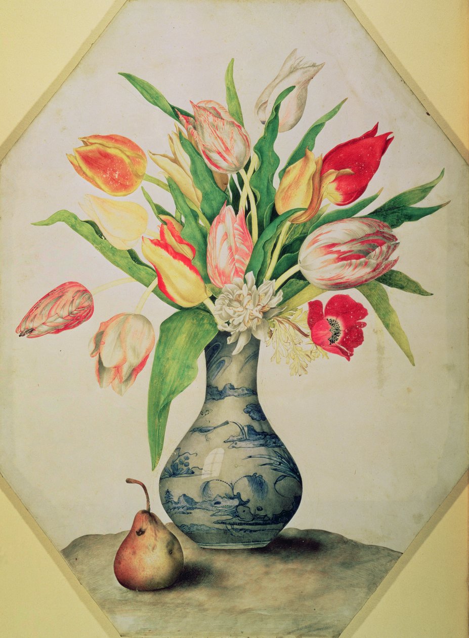 Blå porcelænsvase med tulipaner (tempera på pergament) af Giovanna Garzoni