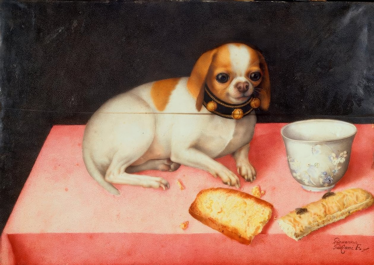 Hundehvalp med skiver brød af Giovanna Garzoni