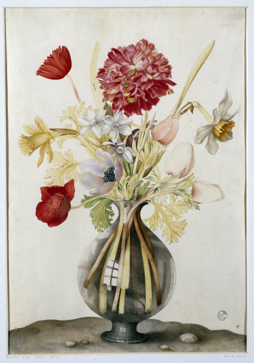 Vase med blomster med påskeliljer, nelliker og anemoner (wc på pergament) af Giovanna Garzoni