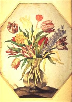 Glasvase med tulipaner med en hyacint af Giovanna Garzoni