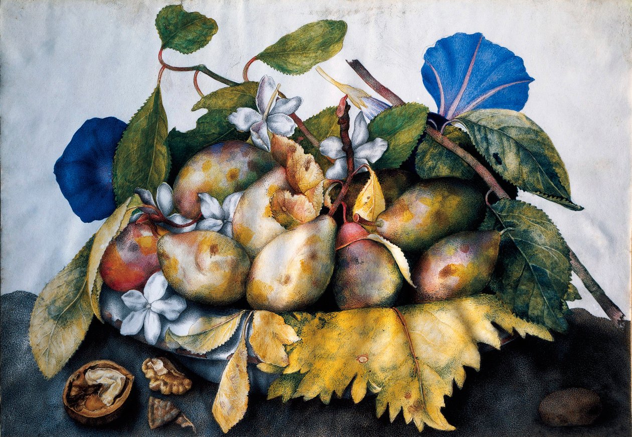 Tallerken med blommer, jasmin og nødder Maleri på pergament af Giovanna Garzoni (1600-1670) af Giovanna Garzoni