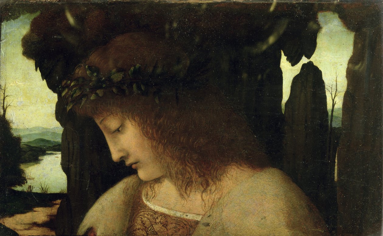Narcissus ved springvandet af Giovanni Antonio Boltraffio