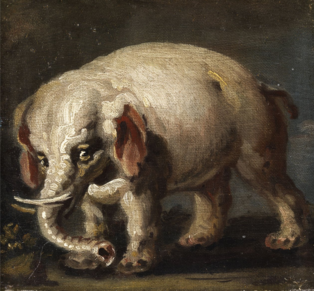 elefant af Giovanni Antonio Guardi