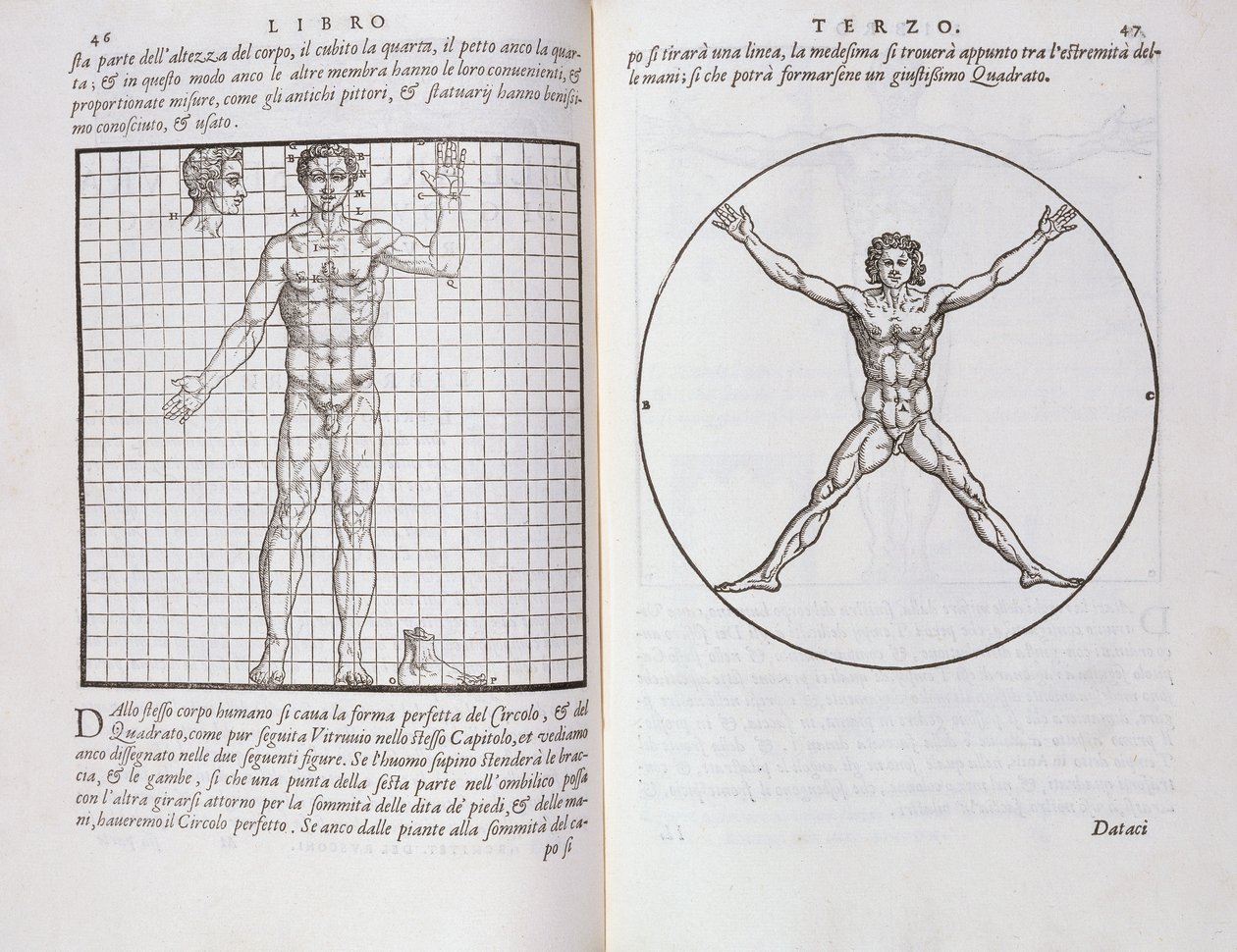 Ideelle proportioner baseret på den menneskelige krop, fra "Della Architettura", udgivet i 1590 af Giovanni Antonio Rusconi