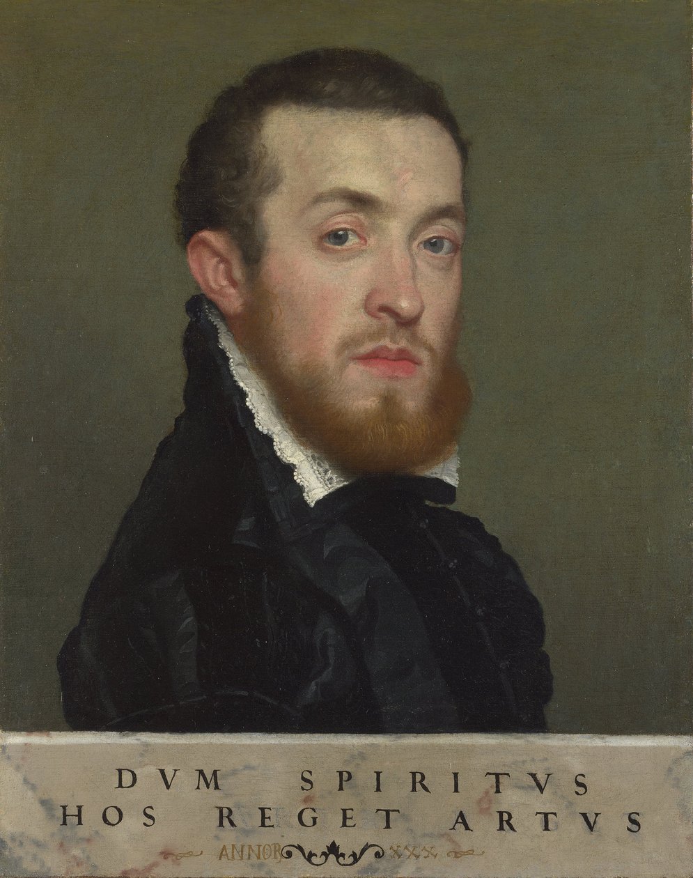 Busteportræt af en ung mand med en indskrift af Giovanni Battista Moroni