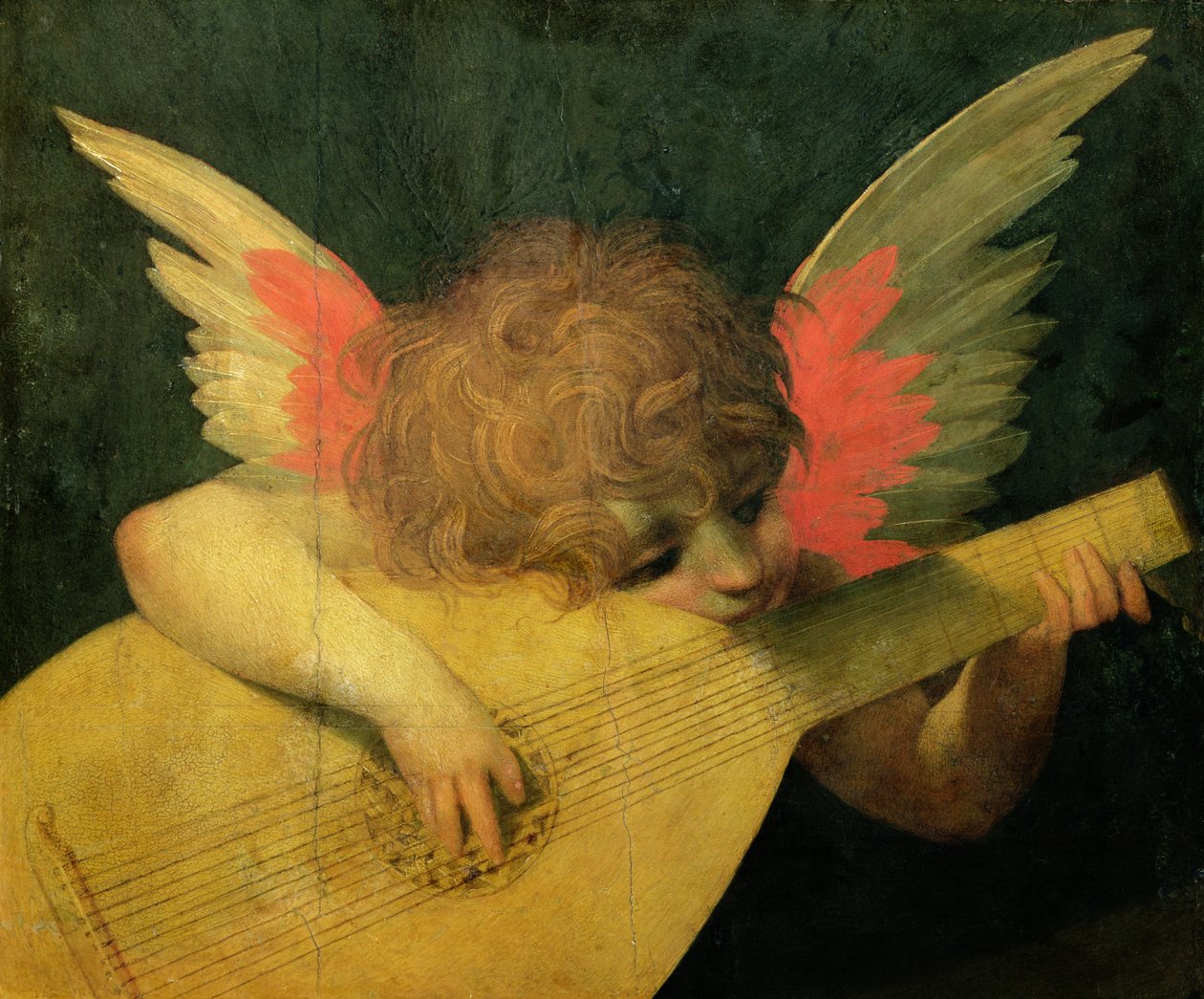 Angel Musician, ca. 1520 (tempera på panel) af Giovanni Battista Rosso Fiorentino