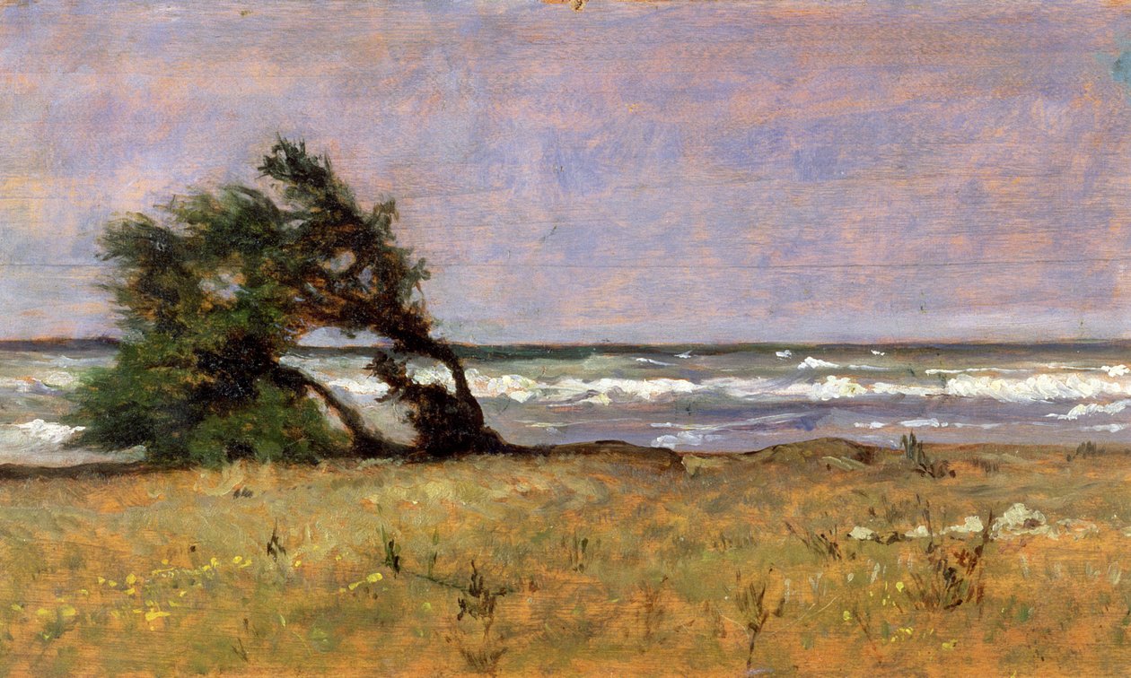 Storm af Giovanni Fattori
