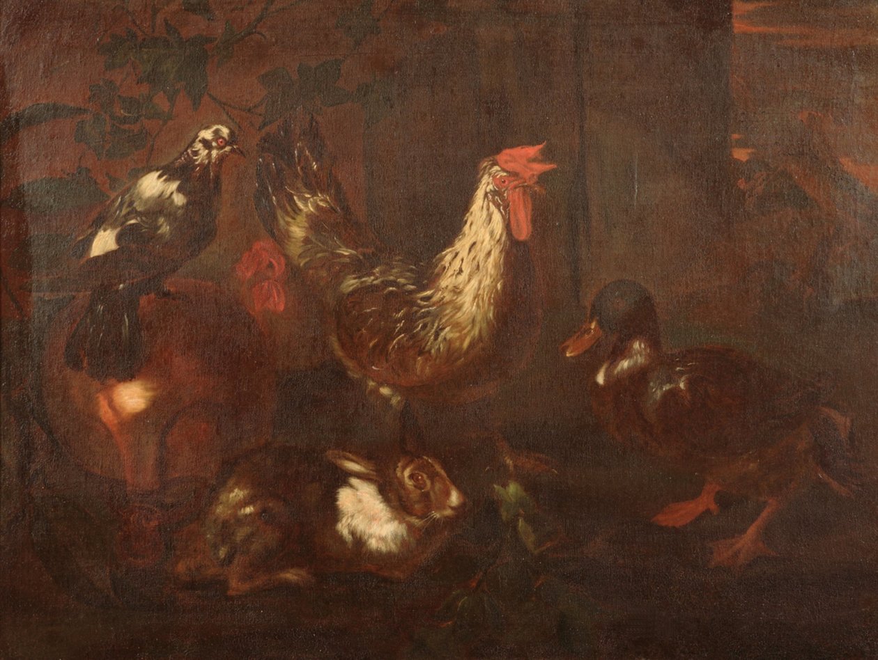 Fjerkræ og kaniner af Giovanni Francesco Cassana