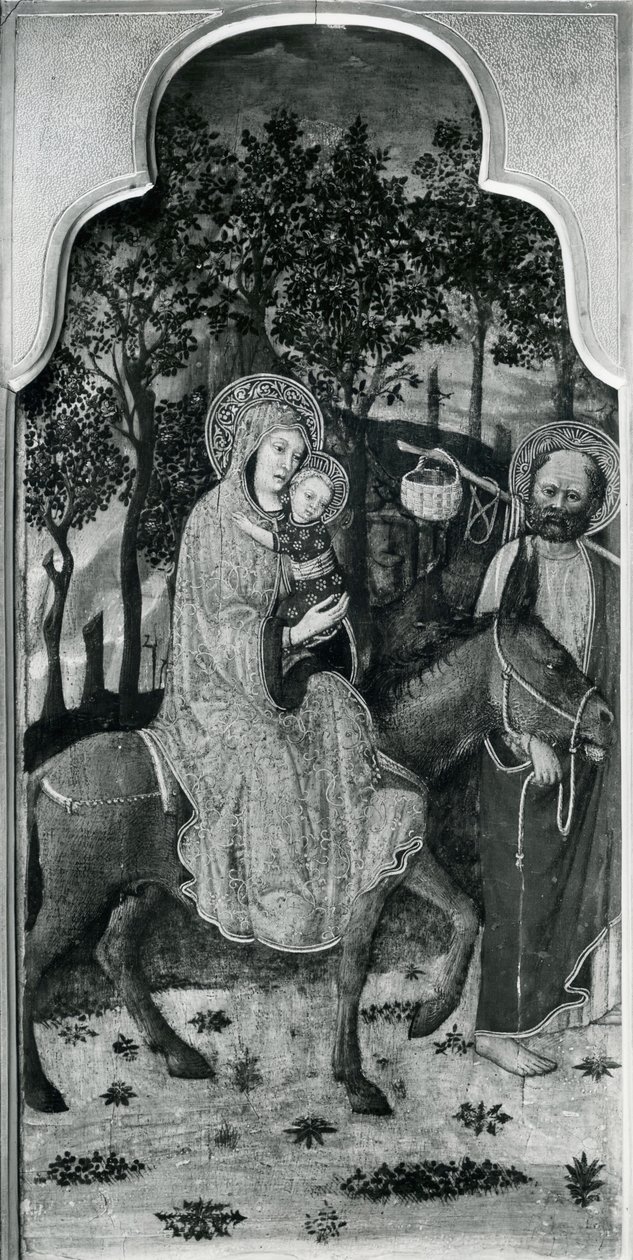 Cyklus af Jomfruens liv, Flugten til Egypten, ca.1445 olie på poppeltræ, sort foto af Giovanni Francesco da Rimini