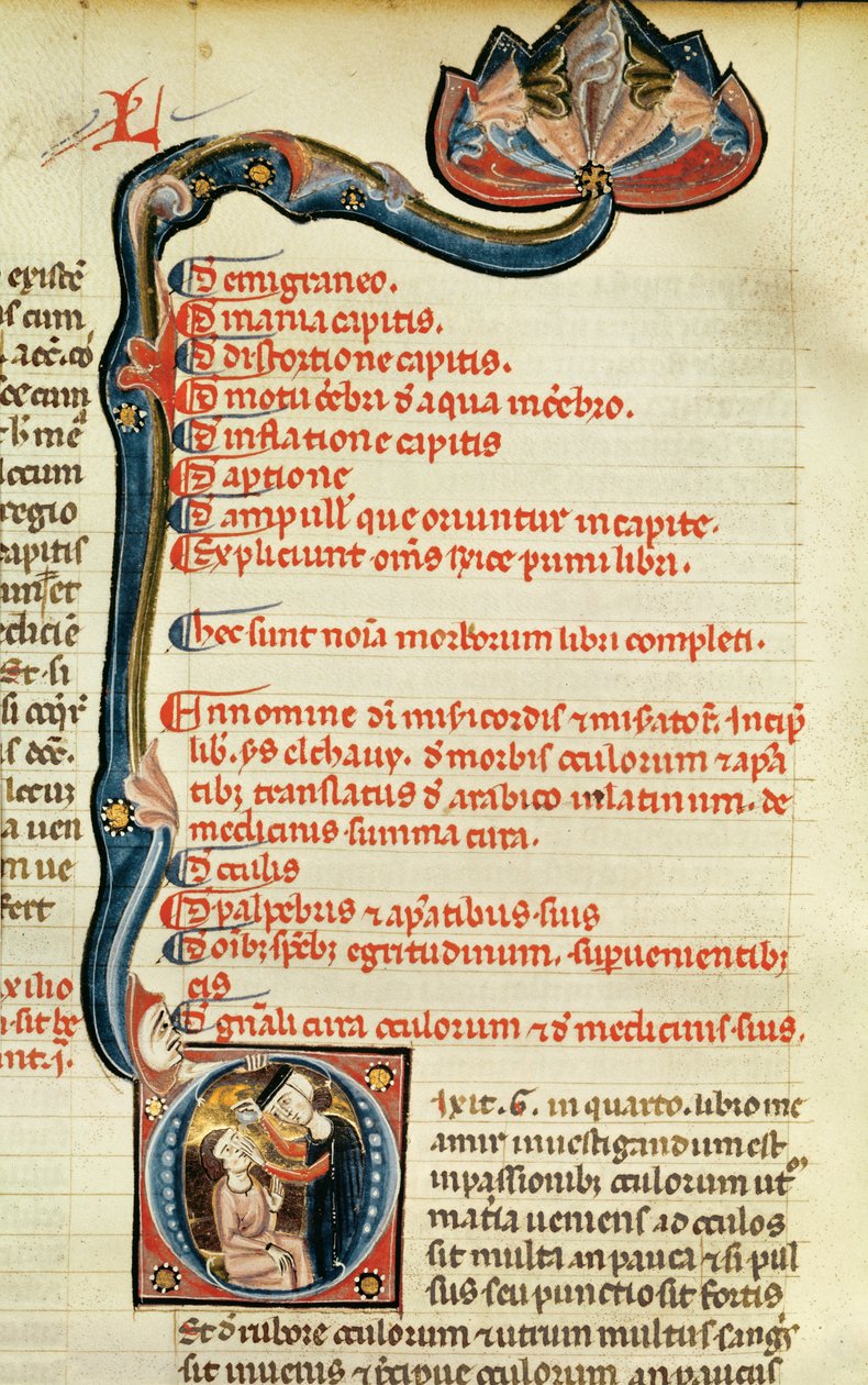 MS.Lat.6912 Belysninger fra bind 2 af Rhazes kontinenter vedrørende oftalmologi og øjensygdomme, 1282 af Giovanni da Monte Cassino