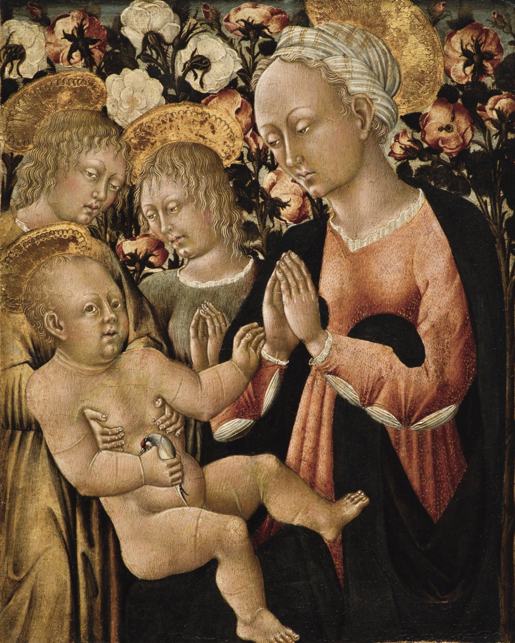 Madonna og barn med engle, ca.1475 (tempera på panel) af Giovanni di Paolo