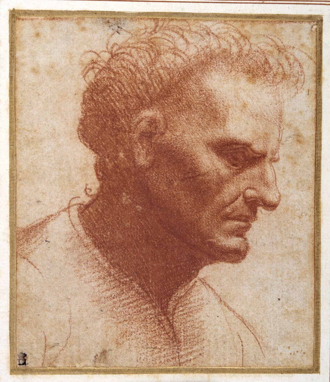 Hovedet af en skægløs mand, der kigger nedad (rødt kridt på papir) af Giovanni Agostino da Lodi
