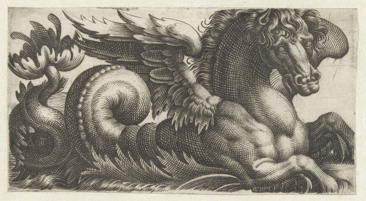 Bevinget søhest med et åbent blad for enden af ​​halen, hvorfra to pistiller stikker ud Frisere med havmonstre (serietitel) af Giovanni Andrea Maglioli