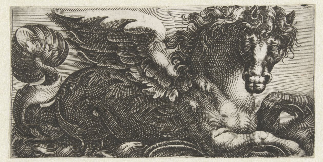 Bevinget søhest med en bladknop på halen Frisere med havmonstre (serietitel) af Giovanni Andrea Maglioli