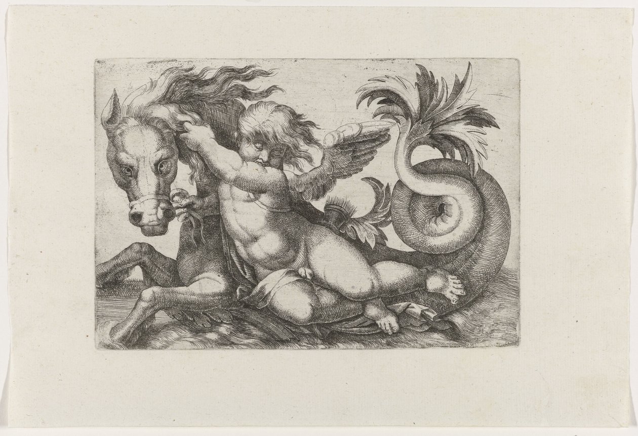 Putto rider på søhest af Giovanni Andrea Maglioli
