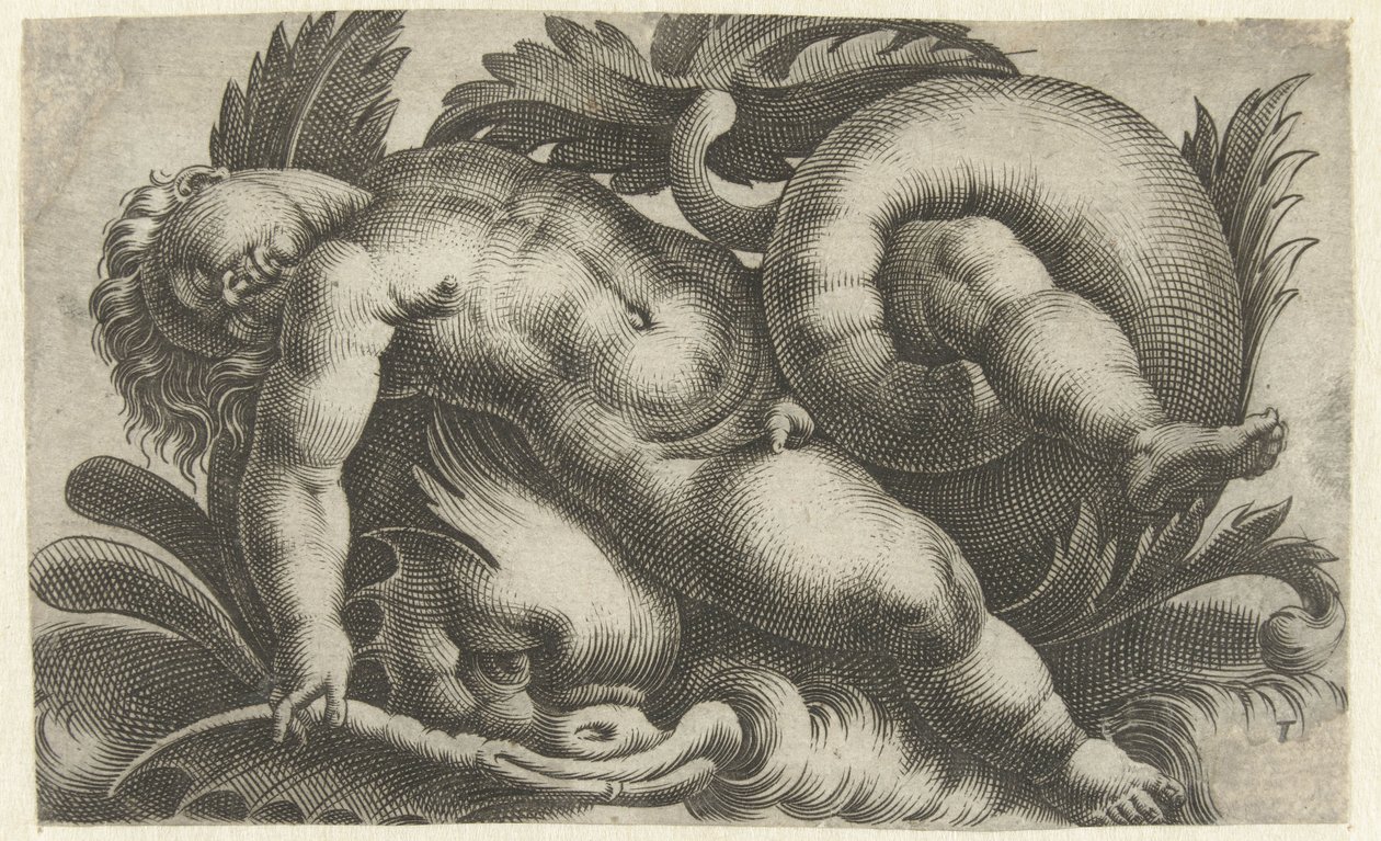 Sovende putto på delfin Putti om havdyr (serietitel) af Giovanni Andrea Maglioli
