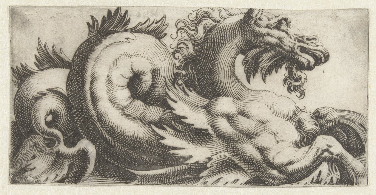 Søhest med bladformede finner og fipskæg Frisere med havmonstre (serietitel) af Giovanni Andrea Maglioli