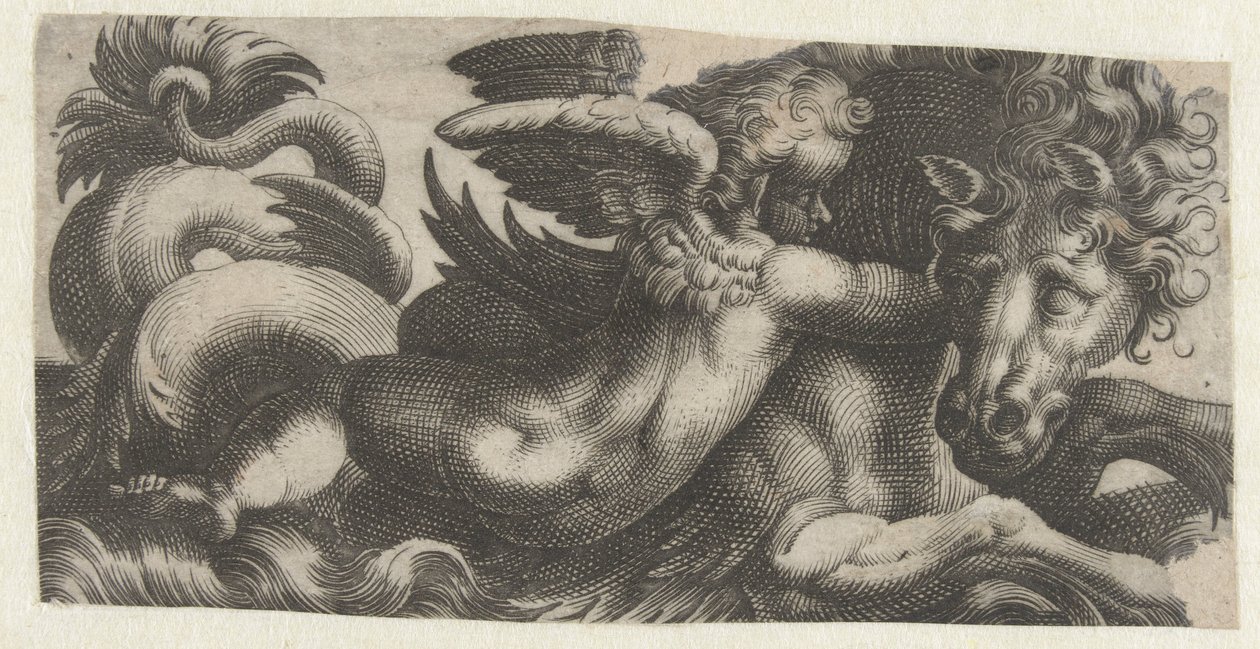 Søhest med en putto om halsen Frisere med havmonstre (serietitel) af Giovanni Andrea Maglioli