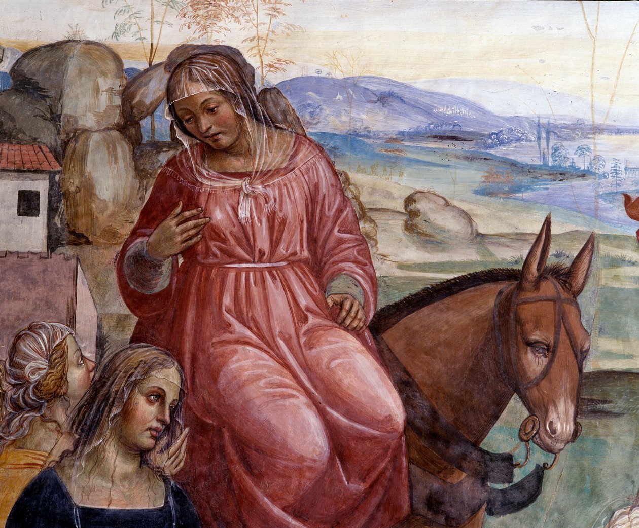 Benedikt forlod sin fars hus og tog til Rom for at studere Detalje af Benoits tjener, Cyrilla - Fresko af klostret realiseret af Antonio Bazzi dit il Sodoma (1477-1549), der fortæller om Sankt Benedikt af Nursias (480 - 567) grundlæggers liv af ordenen af Giovanni Antonio Bazzi Sodoma