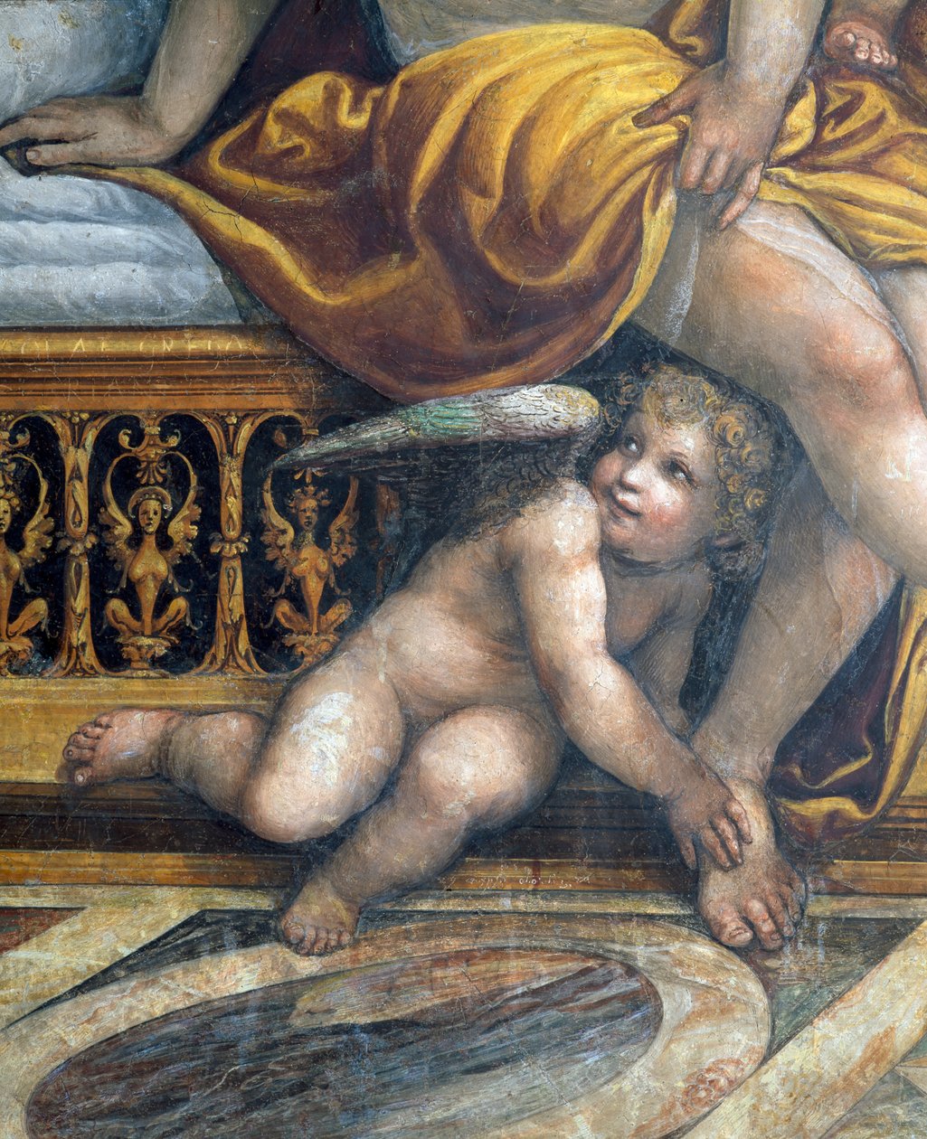 Sala delle Nozze di Alessandro e Rossana Hall af Alexander den Stores ægteskab 356-323 f.Kr. og Roxanne detalje af en putto, der gemmer sig ved Roxannes fødder, ca. 1513 freskodetalje fra 107228 af Giovanni Antonio Bazzi Sodoma