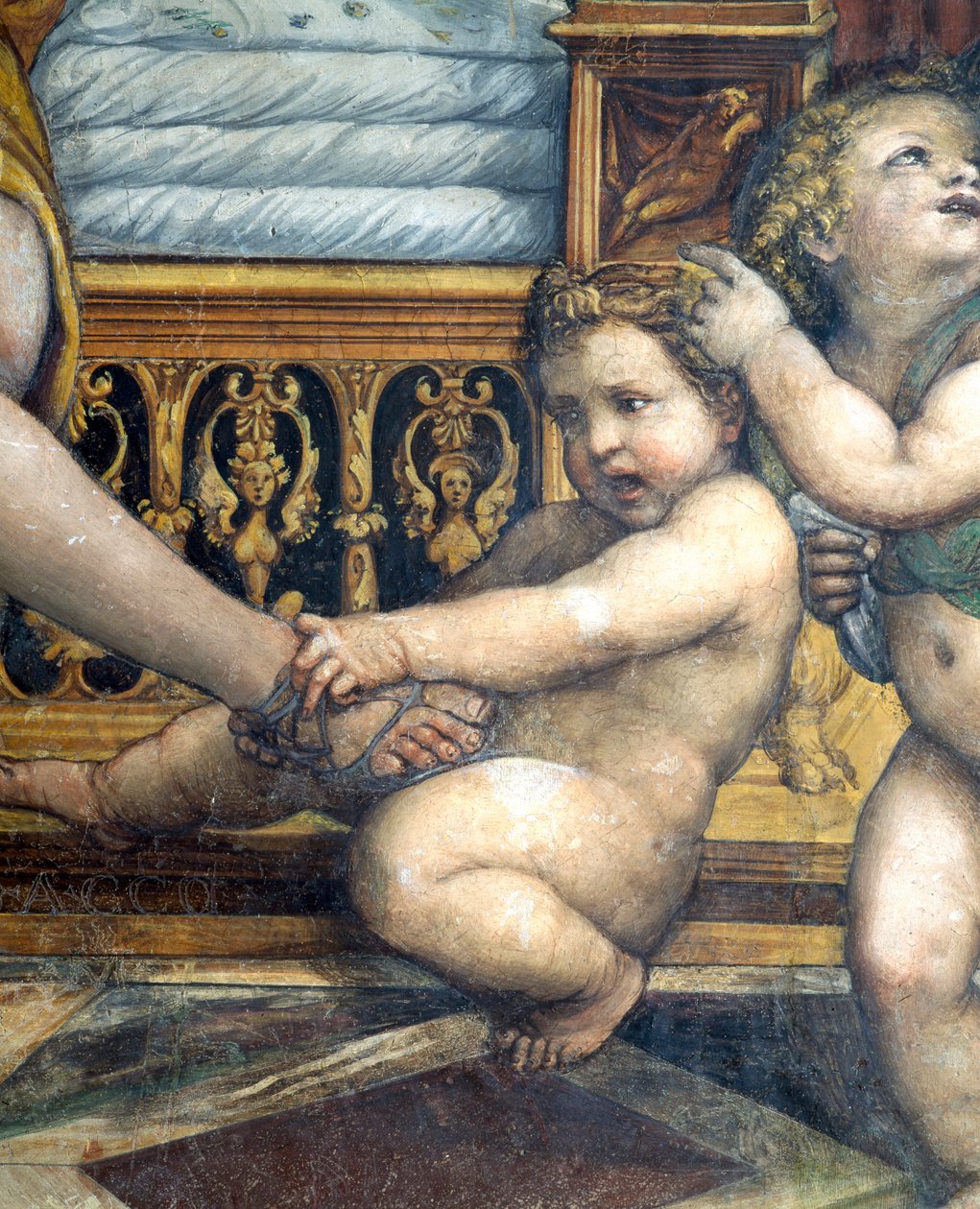 Sala delle Nozze di Alessandro e Rossana Hall af Alexander den Stores ægteskab 356-323 f.Kr. og Roxanne detalje af putto, der trækker Roxannes fod, ca. 1513 freskodetalje af 107228 af Giovanni Antonio Bazzi Sodoma
