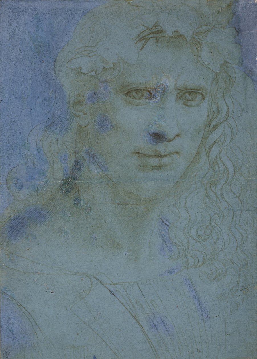 Buste af unger kronet med torne og vinskud, ca. 1495 (metalspids på blåt forberedt papir) af Giovanni Antonio Boltraffio