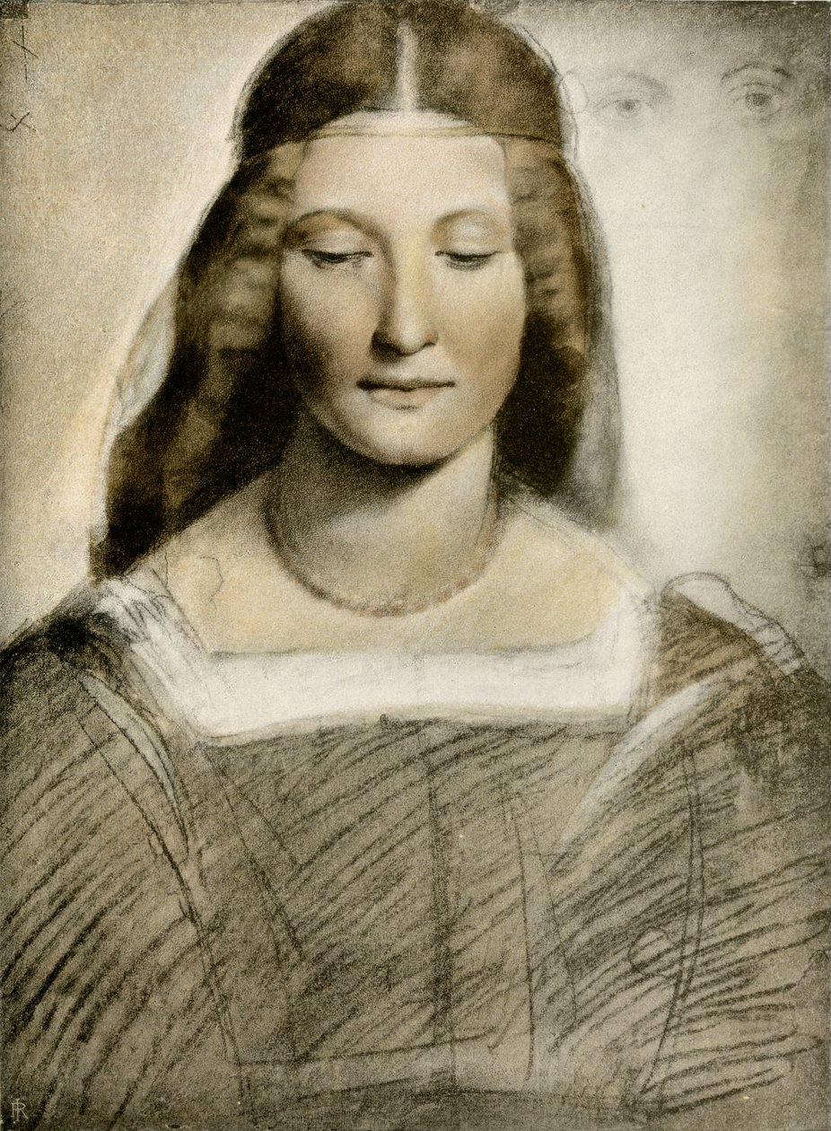 Kvindeligt portræt af Giovanni Antonio Boltraffio