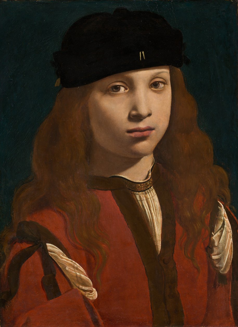 Portræt af en ungdom, ca. 14951498. af Giovanni Antonio Boltraffio