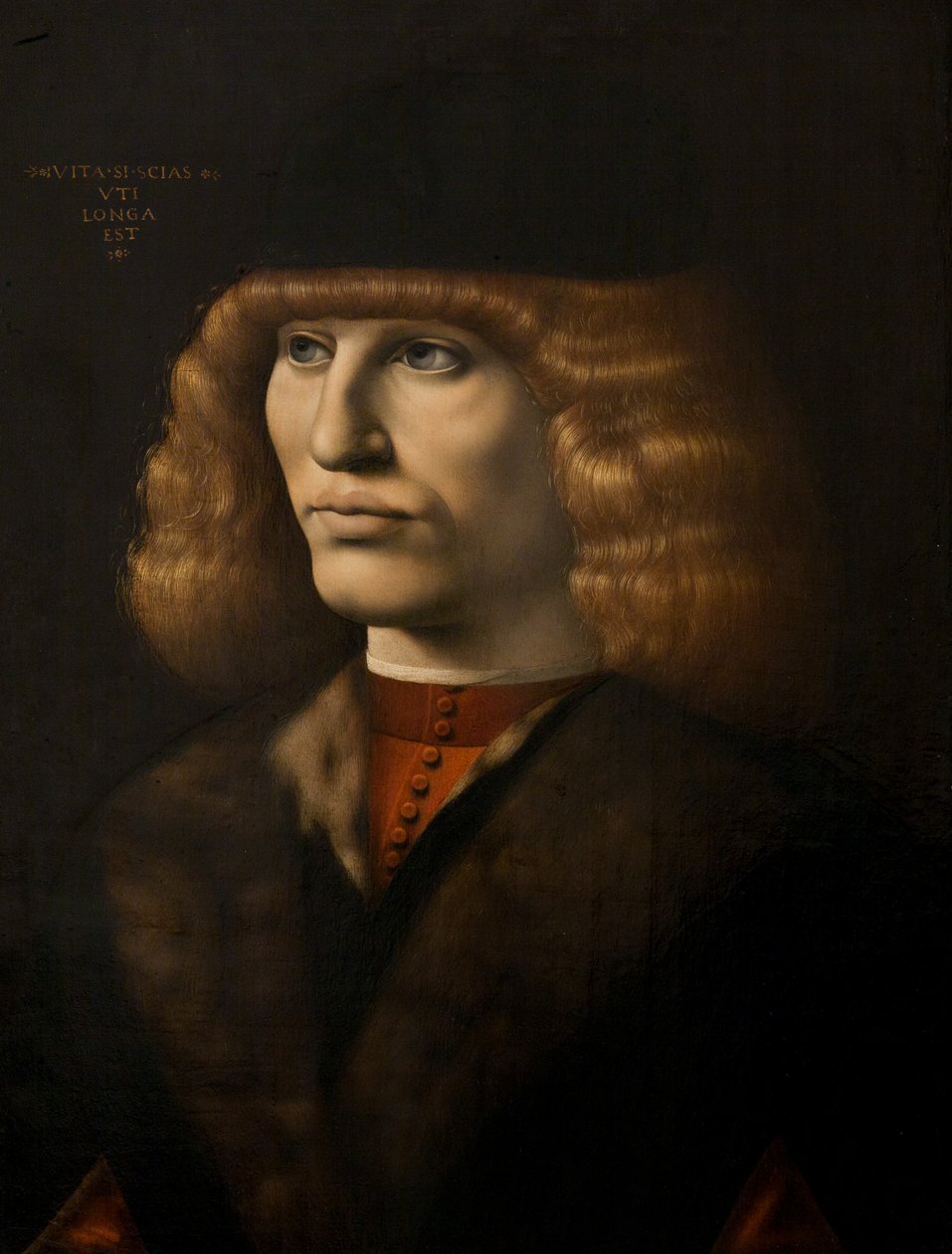 Portræt af en ung mand, ca. 1500 (olie på panel) af Giovanni Antonio Boltraffio