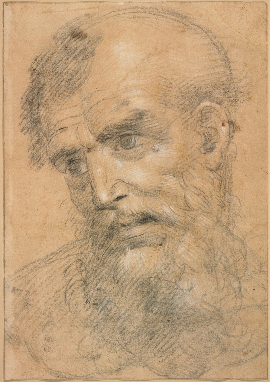 Hoved af en skægget mand (recto); Studie til en sacra conversazione (verso) af Giovanni Antonio Sogliani
